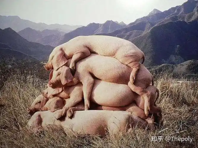 国内当代行为艺术大赏 - 知乎