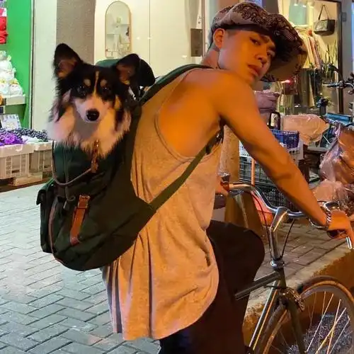 港风男头像图片复古,港味ins风头像