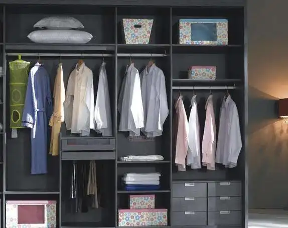 2020壁柜装修效果图卧室(壁衣柜效果图大全2020款)_菠萝园