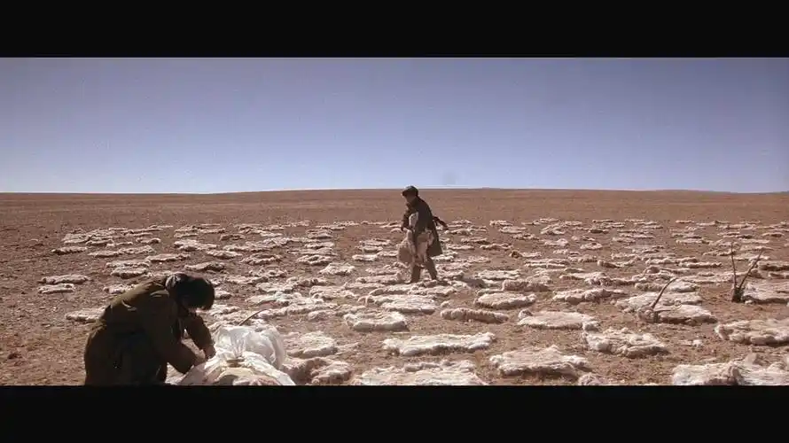 可可西里 的剧照