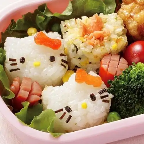hellokitty儿童diy饭团模具可爱凯蒂猫造型米饭寿司日式料理工具kt