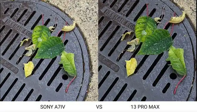 白天拍摄对比,两者各有千秋