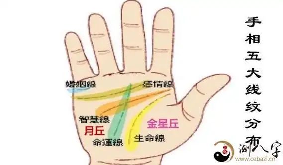 掌纹五大线纹,天纹,人纹和地纹看运势
