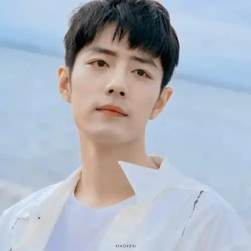 内娱明星头像大户#肖战的小清新头像合集,像暗恋了很久的那位男生.