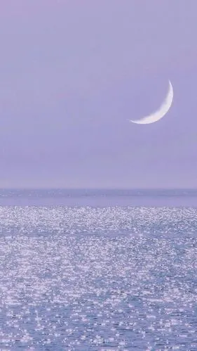 壁纸/锁屏/聊天背景