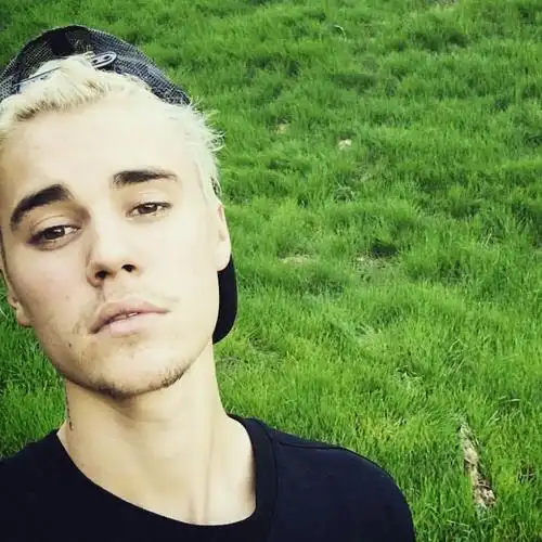 绿地贾斯汀比伯男头