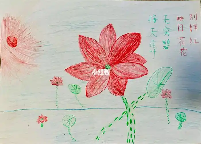 二年级姐姐画的荷花