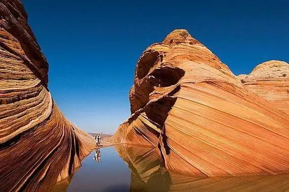 主要有角马,斑马,大羚羊,象等,有天然动物园及世界第八大奇景的美称