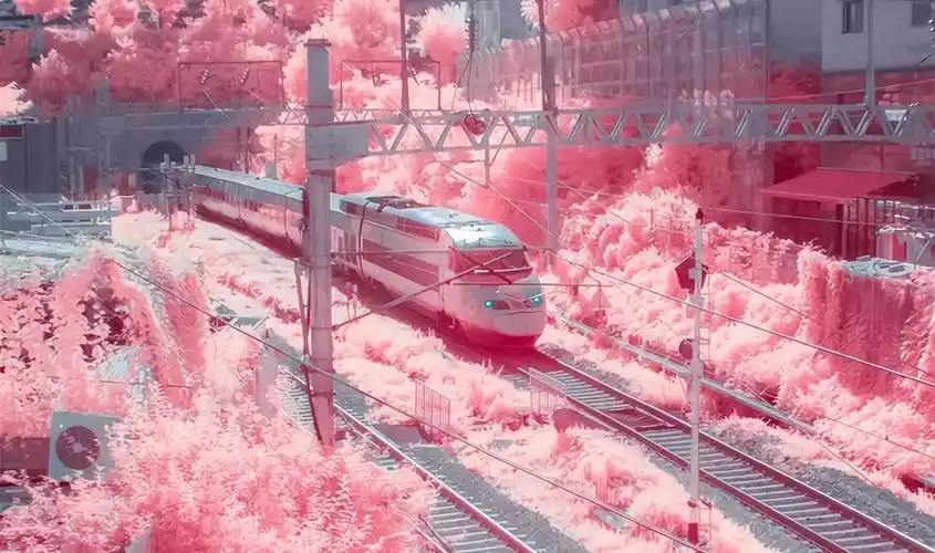 好看的微信朋友圈背景图实在是太养眼了