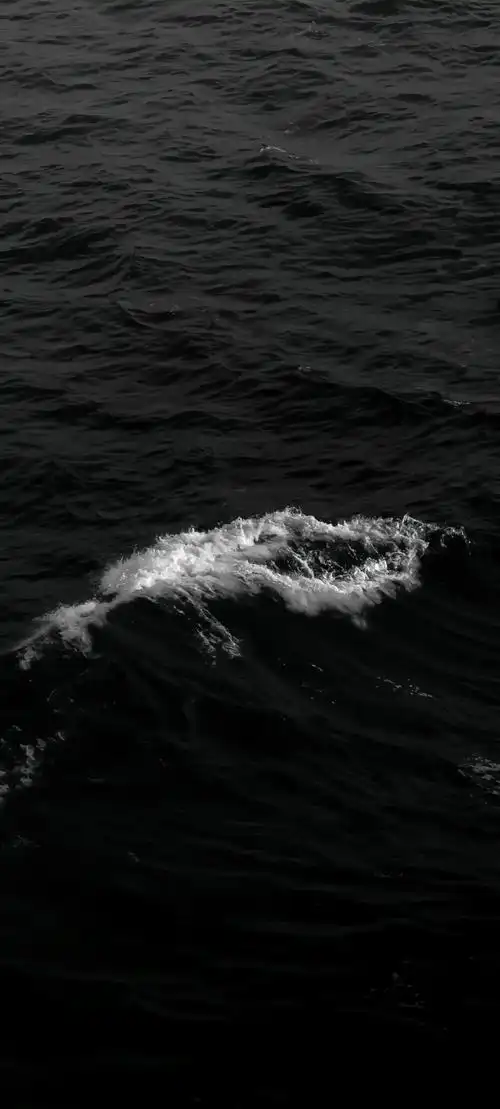 壁纸 | 手机全屏 高清4k