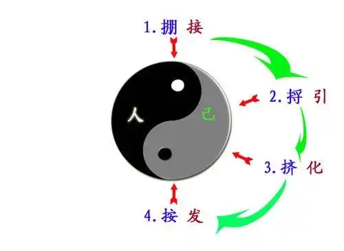唯一正确的太极图 (第1页)