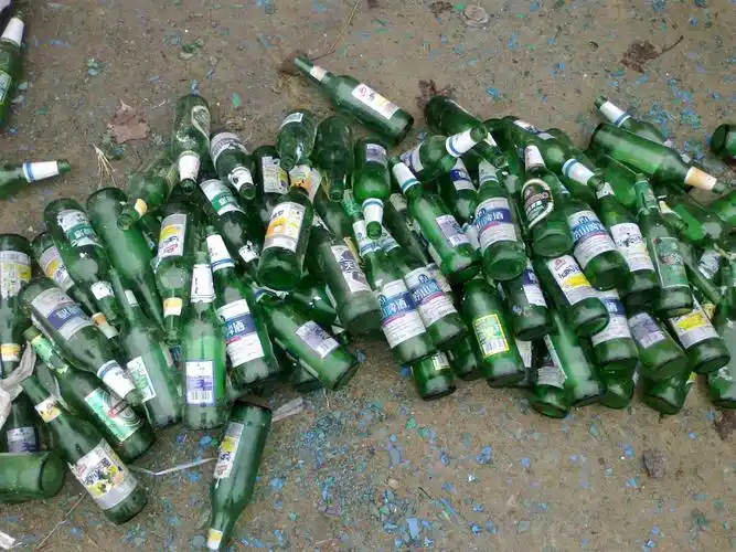 回收600毫升青岛啤酒瓶 青岛瓶 啤酒瓶 收酒瓶图片_4