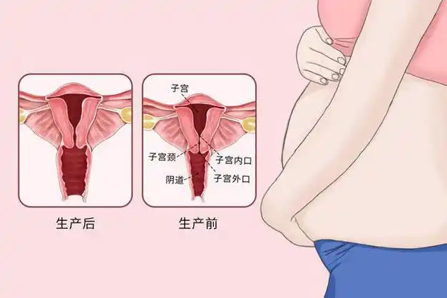 女性啪啪啪次数太多下面会变松吗别害羞男女了解下有好处