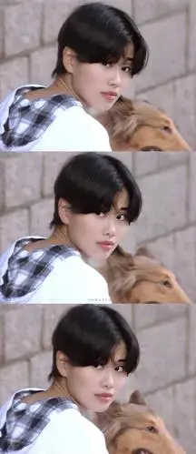 短发女神我只服陈松伶笑看风云中的她太美了