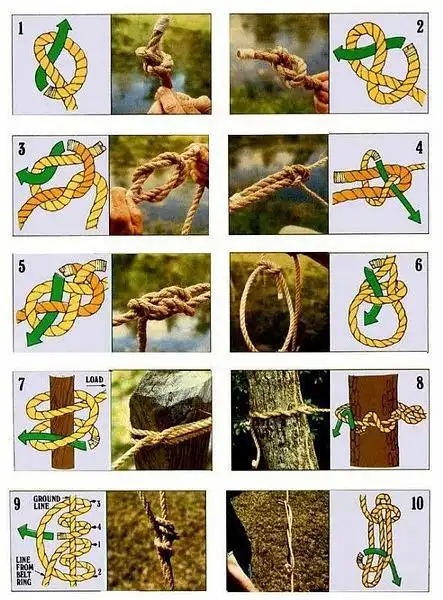 黑马非马的相册-amazing pics