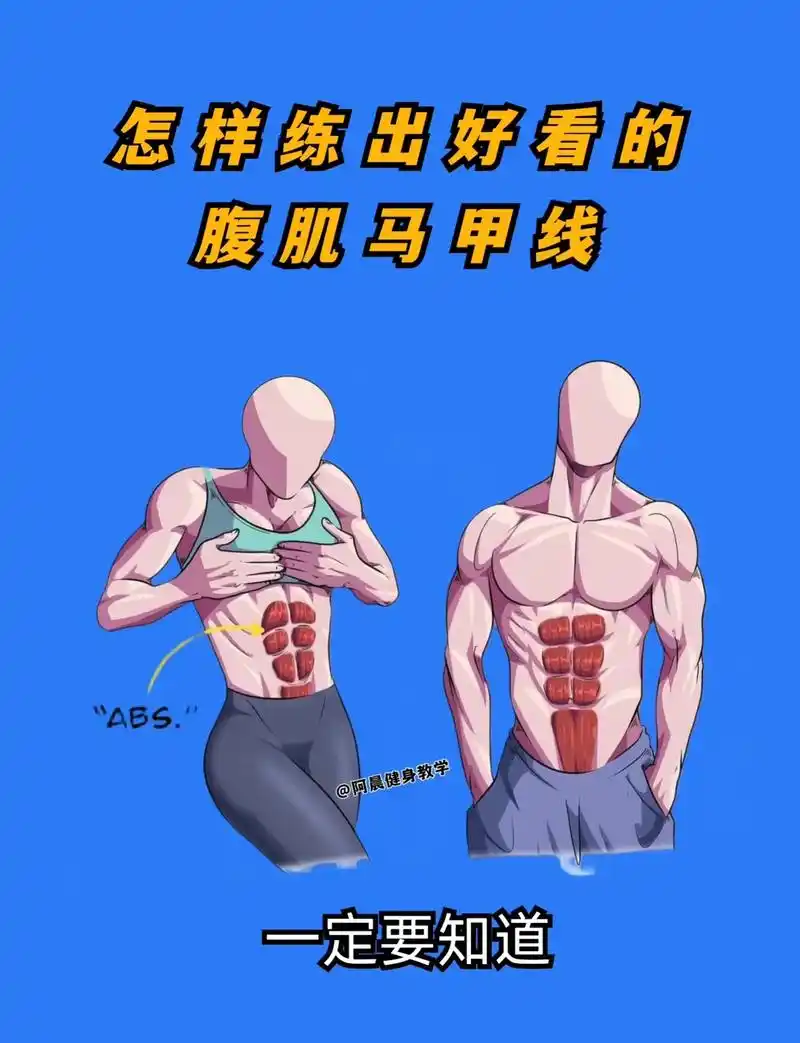 怎样才能练出好看的腹肌马甲线,建议收藏起来慢慢看#健身 #健 - 抖音