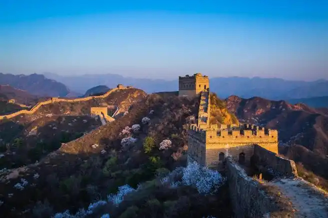 #杏韵花开长城之约##被金山岭长城漫山杏花震撼了##春日心动时刻#