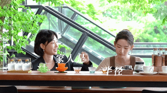 白百何李纯王玉雯饰演的向家三姐妹,遇上陈赫于谨维章涛饰演的"老公团