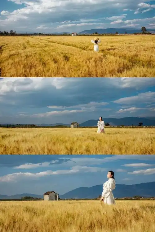 风吹麦浪的季节,7个拍摄唯美漂亮麦田人像的技巧,老少皆适用