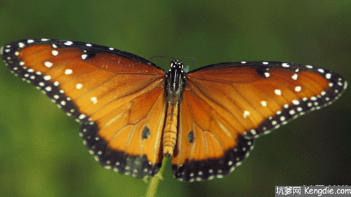 看图猜成语―多动脑防衰老9