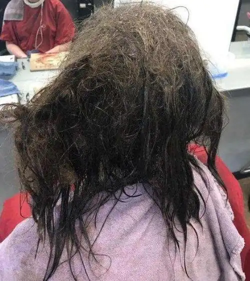 女子失恋半年不洗头理发师看到瞬间崩溃梳剪后直呼认不出