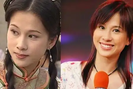 【图】文颂娴王子文极度撞脸 曾是tvb当家花旦的文女现状如何