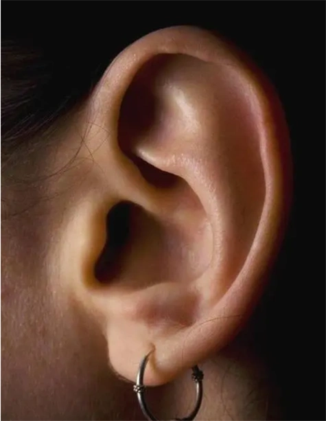 "穷人耳","富人耳",有没有科学依据?看看你是哪一种?