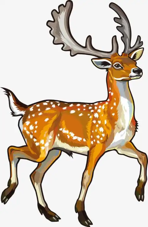 关键词 : 卡通动物,矢量动物,动物,梅花鹿,卡通梅花鹿[声明] 觅元素