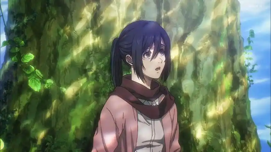 11.5完结撒花,再见了艾伦.#三笠 #进击的巨人 - 抖音