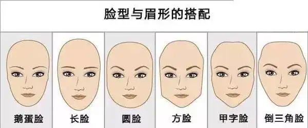 来玩描述一下你担的脸型