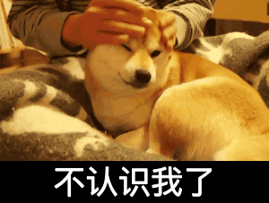 六亲不认气势图片_六亲不认气势动态图_六亲不认气势表情包gif动图