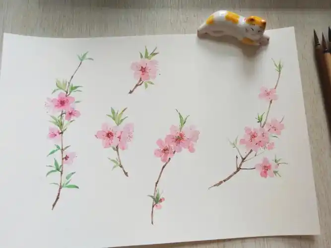 水彩桃花合集
