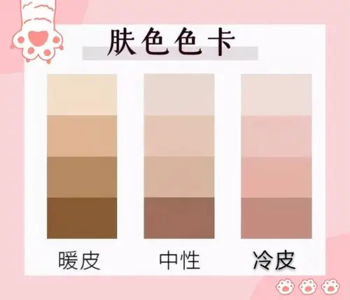 中性调皮肤暖色肤质的特征是由浅白色和轻微的米色组成的,皮肤像剥了