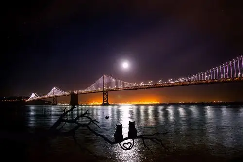 连接月亮漂亮爱心月光月球黄昏黑夜心情夜晚图片