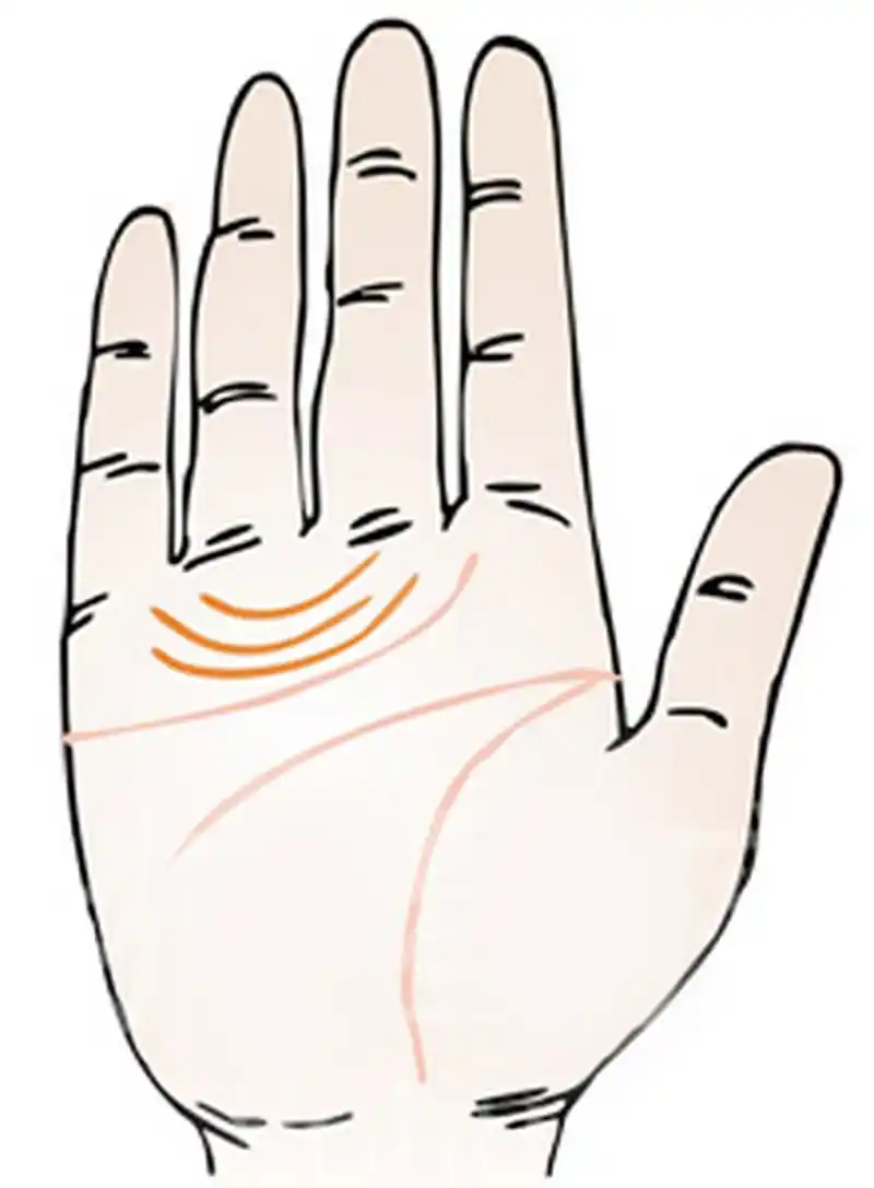 金星带有二,三条 金星带有二,三条,此手相者,极富好奇心,做事喜欢故弄