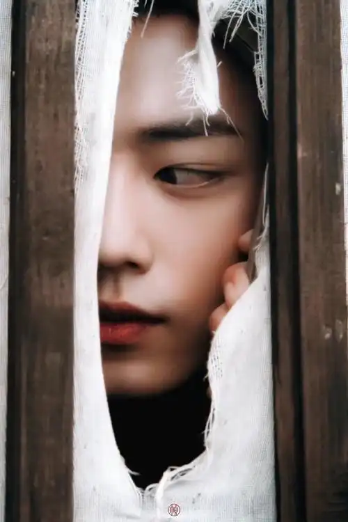 肖战魏无羡##肖战陈情令##肖战