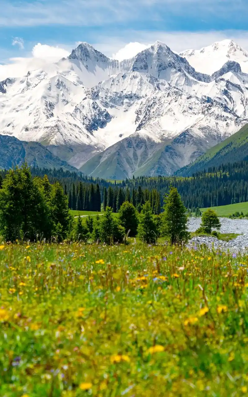 新疆拍照攻略|伊犁河谷天神的后花园.随着夏季的慢慢到来,在这 - 抖音