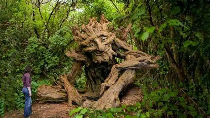 全球最可怕食人树,4千年高龄食人无数,对女人情有独钟!_网易视频