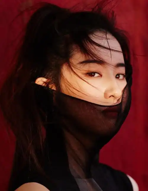 刘亦菲 花木兰 浓妆淡抹总相宜