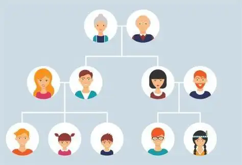 家庭成员关系怎么填写?_酷知经验网