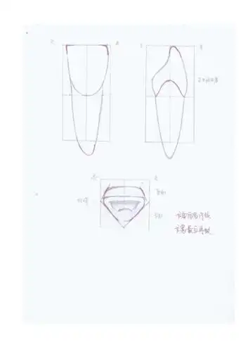 上颌中切牙的雕刻