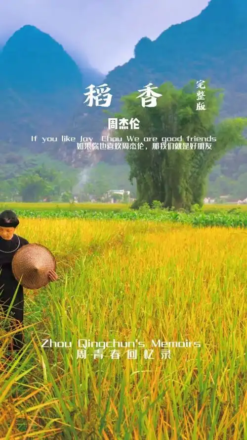 虽然生活很累,但还是要热爱它#稻香#稻香 #周杰伦