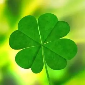 女人用什么头像运气旺,四叶草等八种头像图片最好 - 情感家庭 - 哎哟