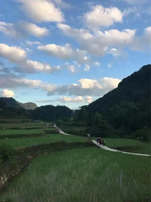 大山里的乡村,富硒村探秘二日游