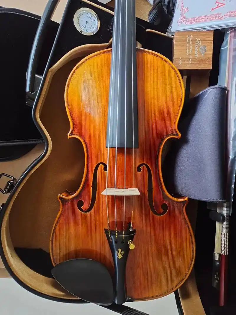 提琴制作 #乐器 #小提琴 全手工小提琴 - 抖音