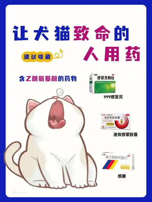 犬猫致命人用药72快快记下