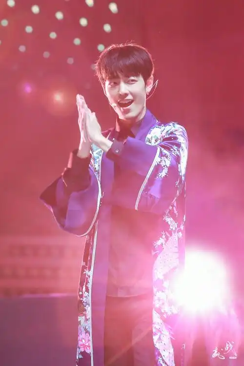 170402上海演唱会 肖战 极乐净土 x玖少年团