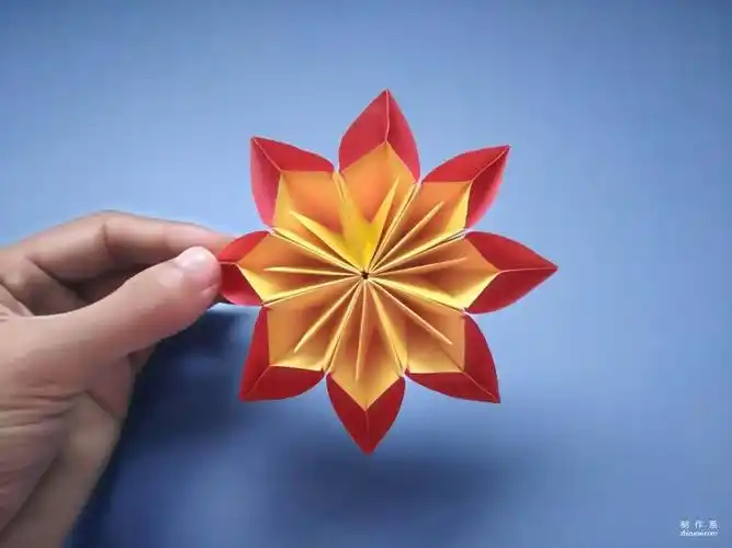 用纸折的8款花朵你最喜欢哪一款手工diy折纸大全