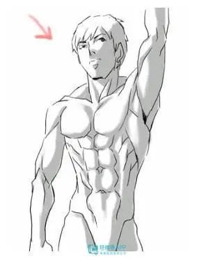 动漫男生肌肉画法!|背阔肌|腹肌|前锯肌|胸大肌_网易订阅