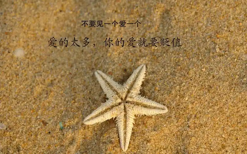 2013人生哲理经典语录桌面壁纸